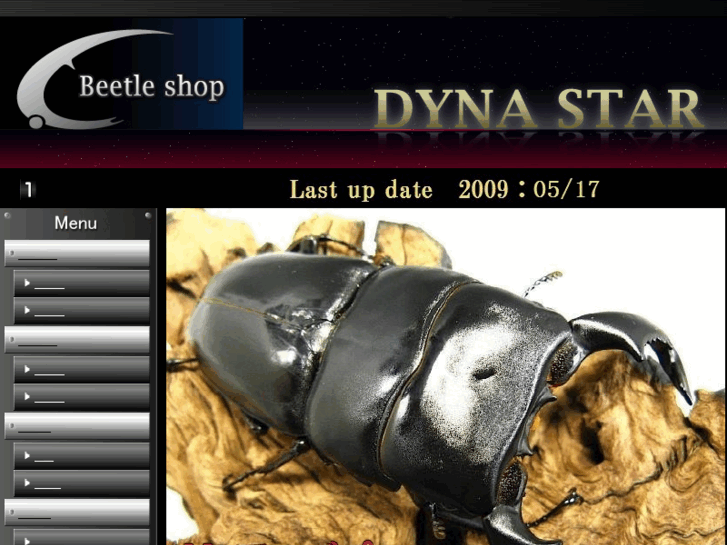 www.beetle-dynastar.com