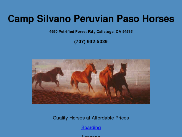 www.campsilvano.com