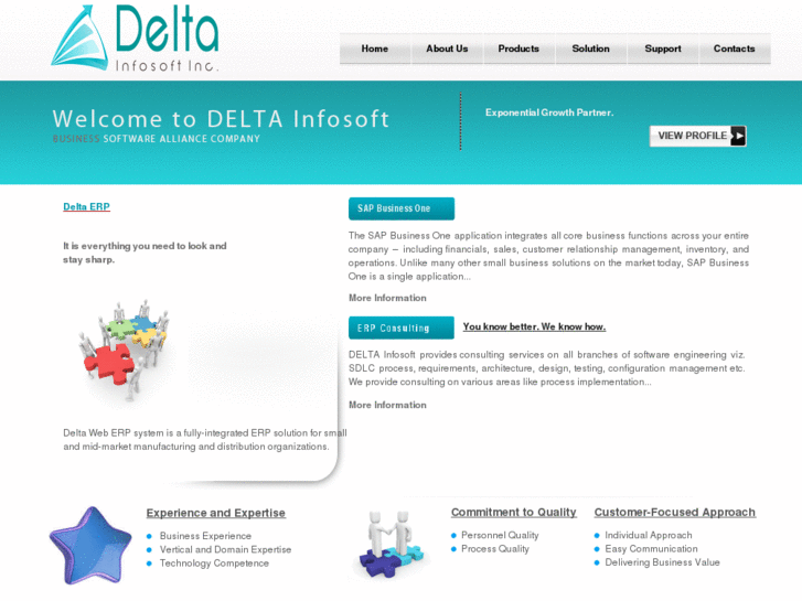 www.deltainfosoft.com