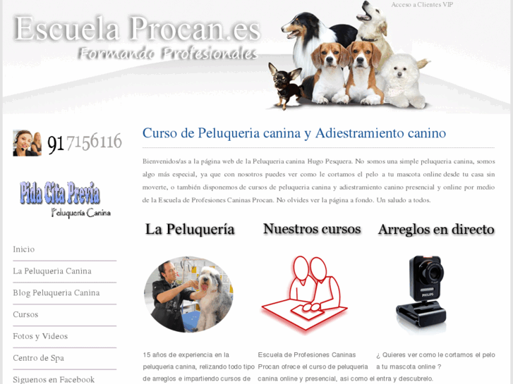 www.escuelaprocan.com