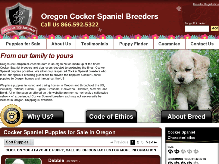 www.oregoncockerspanielbreeders.com