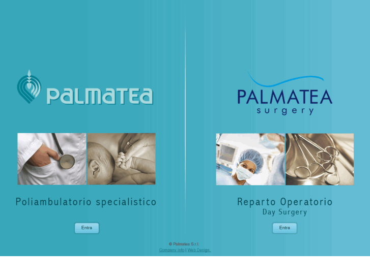 www.palmatea.com