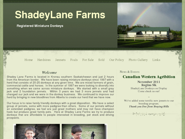 www.shadeylanefarms.com