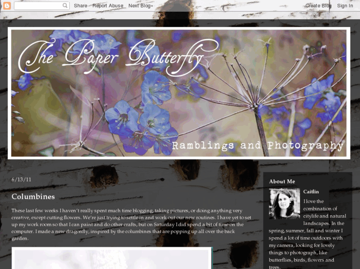 www.thepaperbutterfly.net