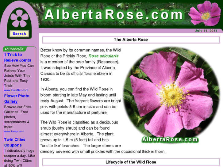 www.albertarose.com