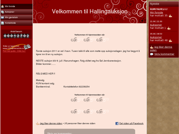 www.hallingauksjon.com