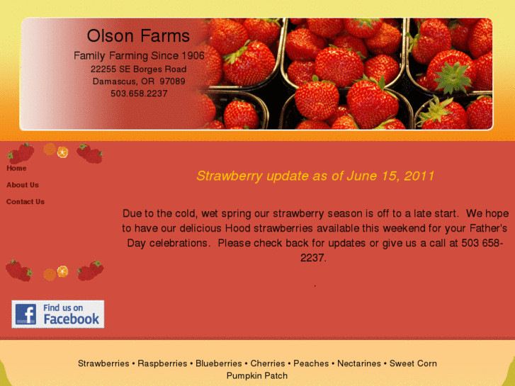 www.olson-farms.com