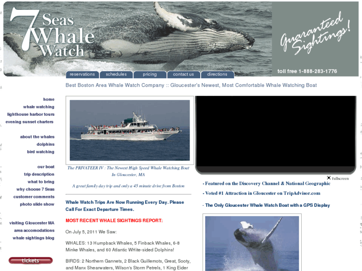 www.7seas-whalewatch.com