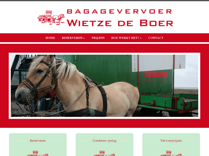 www.bagagevervoer-vlieland.nl