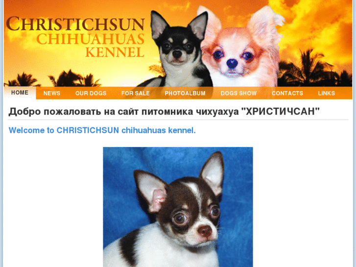 www.chihuahua-spitz.ru