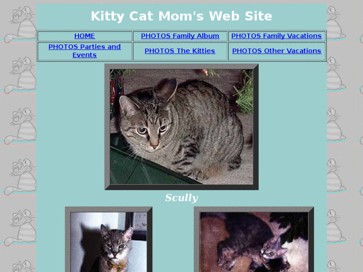 www.kittycatmom.com