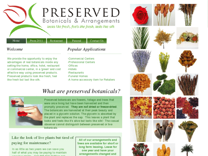 www.preservedbotanicals.com