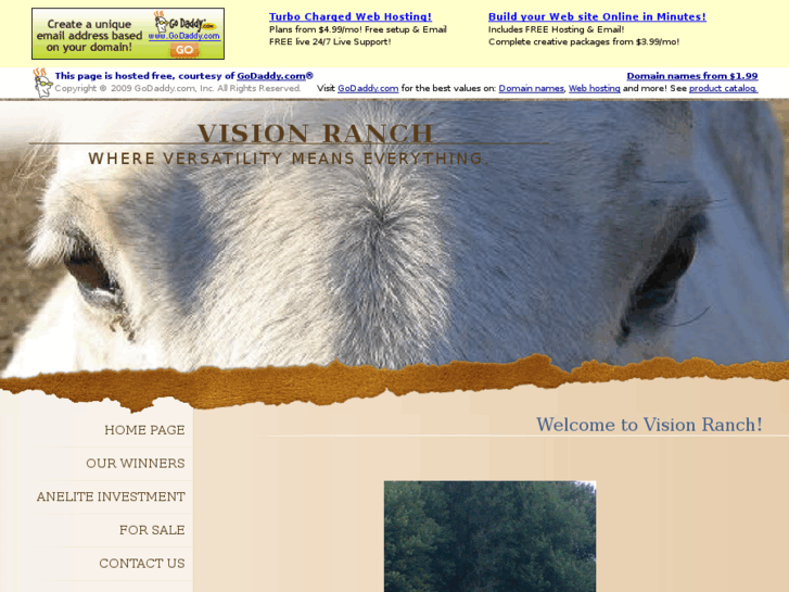 www.visionranchshowhorses.com