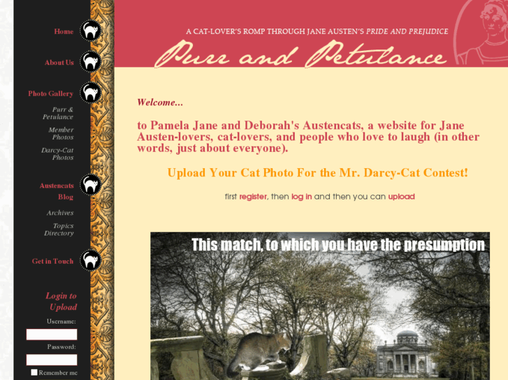 www.austencats.com