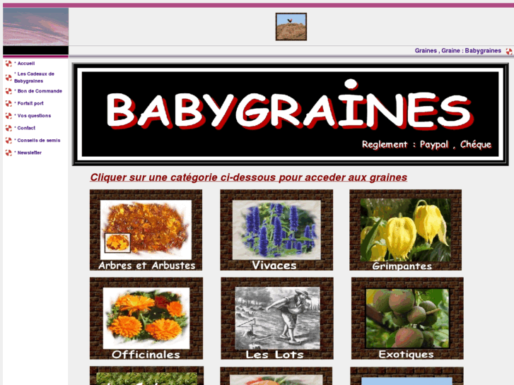 www.babygraines.com