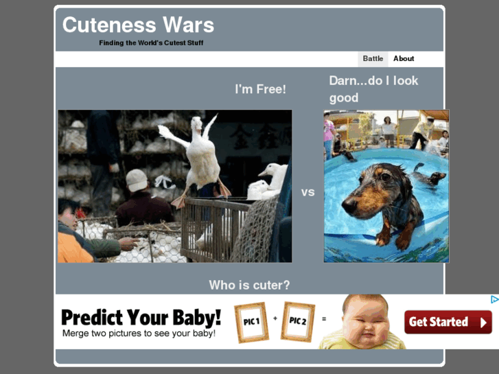 www.cutenesswars.com