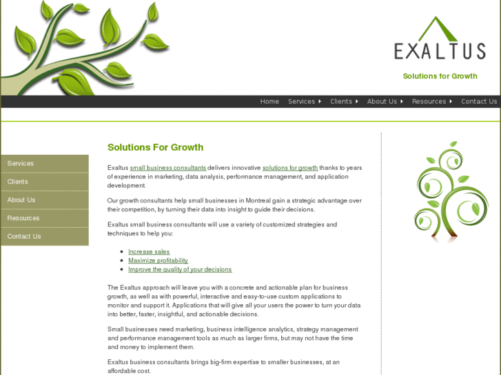 www.exaltusconsulting.com