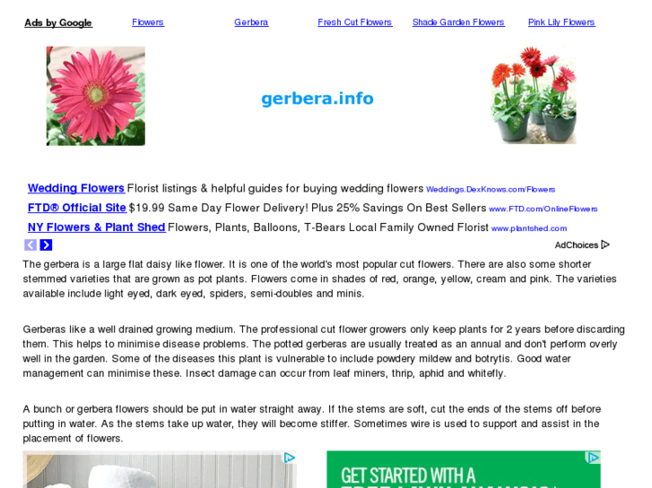 www.gerbera.info