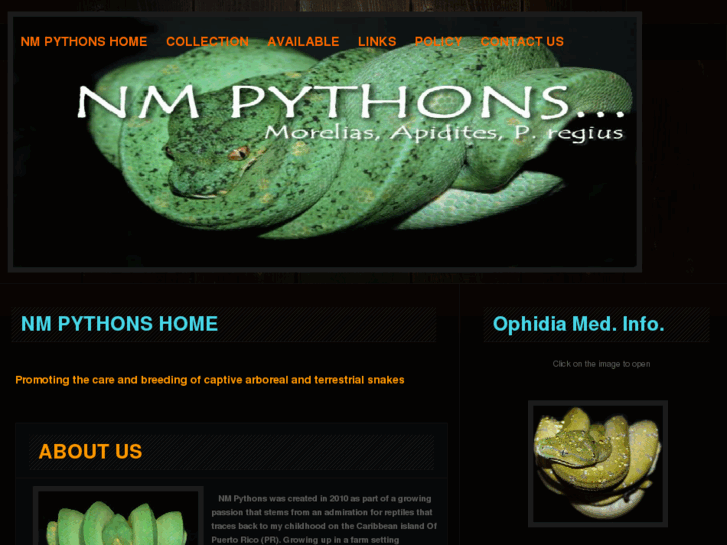 www.nmpythons.com