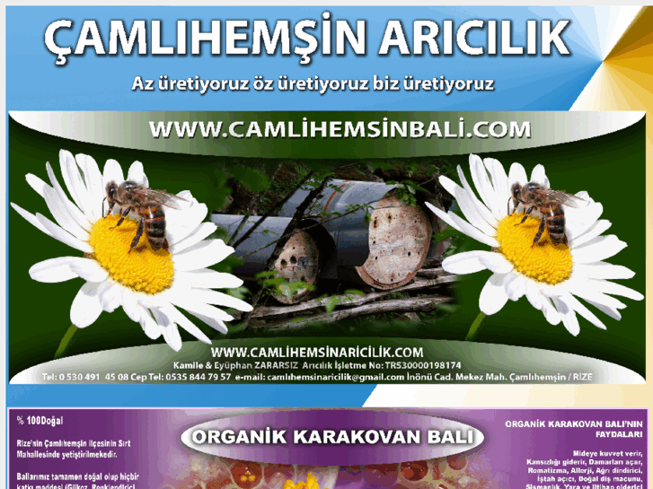 www.camlihemsinaricilik.com