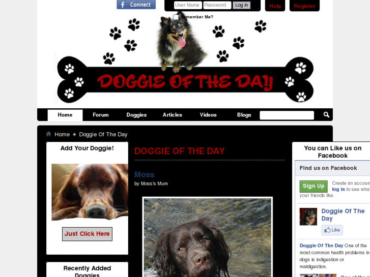 www.doggieoftheday.com