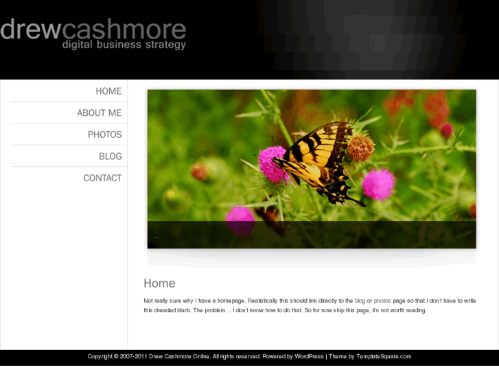 www.drewcashmore.com