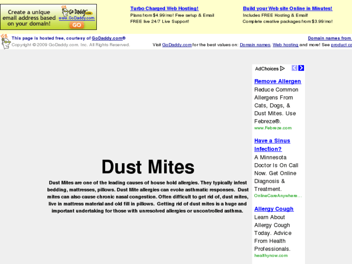 www.dust-mites.com