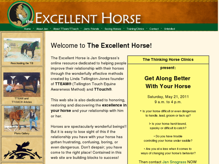 www.theexcellenthorse.com