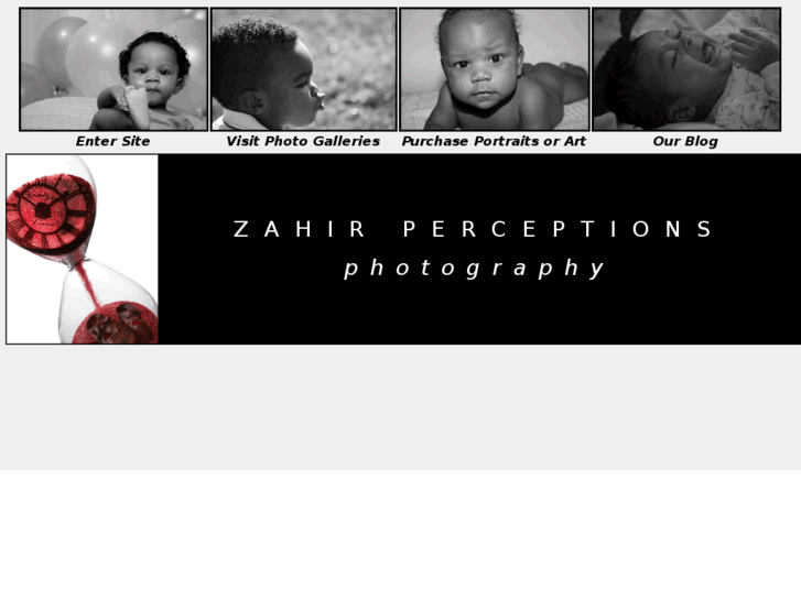 www.zahirperceptions.com