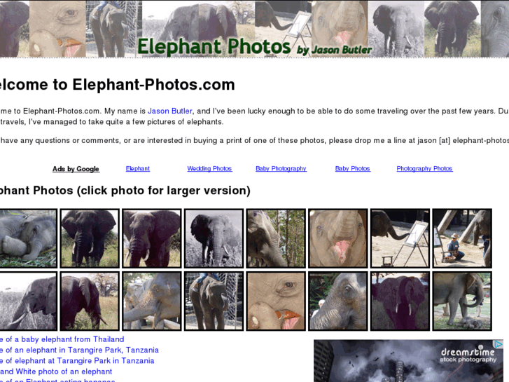 www.elephant-photos.com