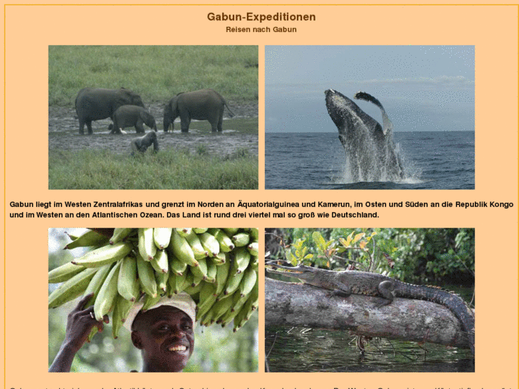 www.gabun-expeditionen.de