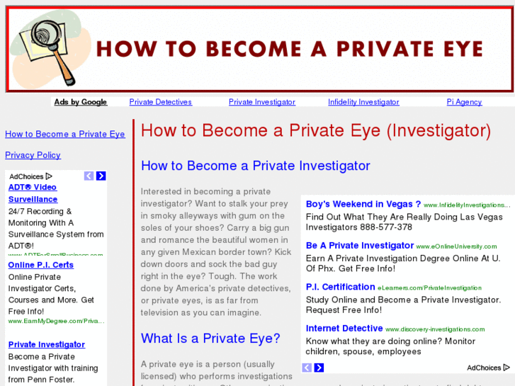 www.howtobecomeaprivateeye.com