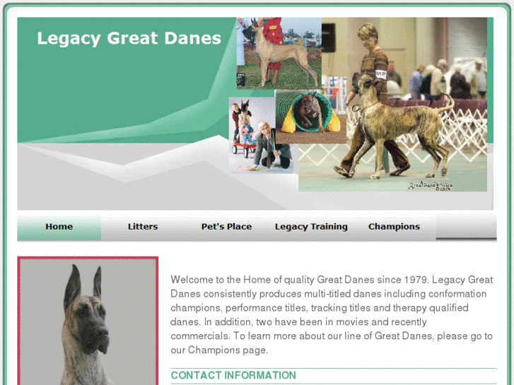 www.legacygreatdanes.com