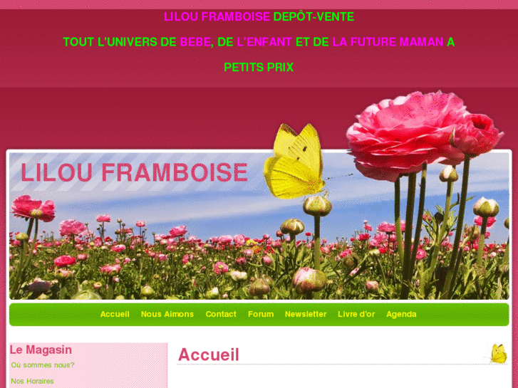 www.lilouframboise.com