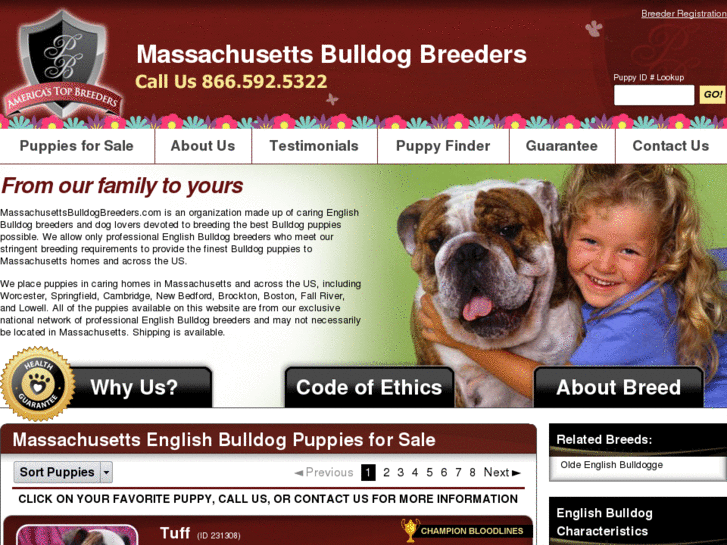 www.massachusettsbulldogbreeders.com