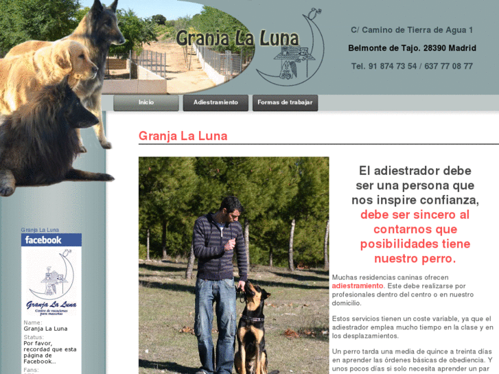 www.perrosadiestramiento.com