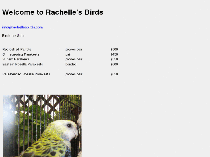 www.rachellesbirds.com