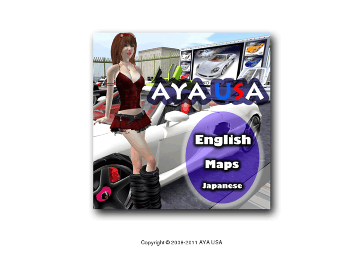 www.ayausa1.com