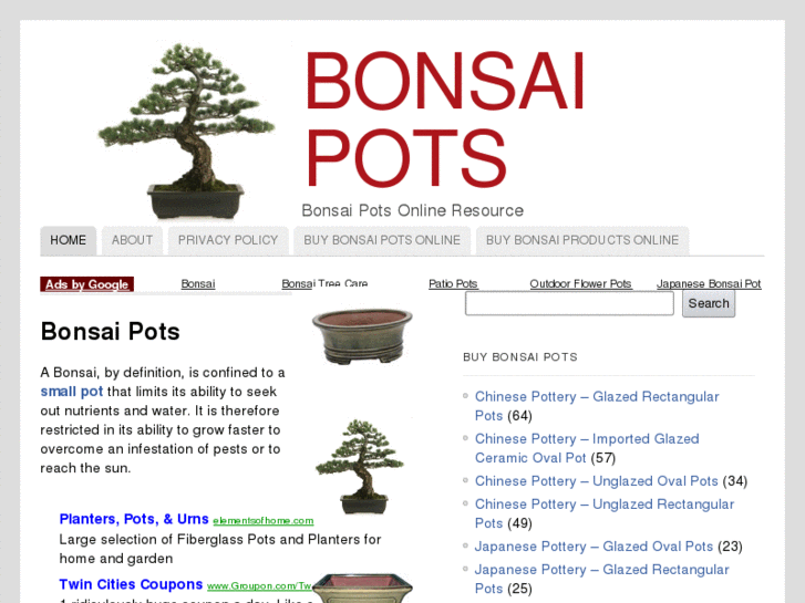 www.bonsaipotsonline.com