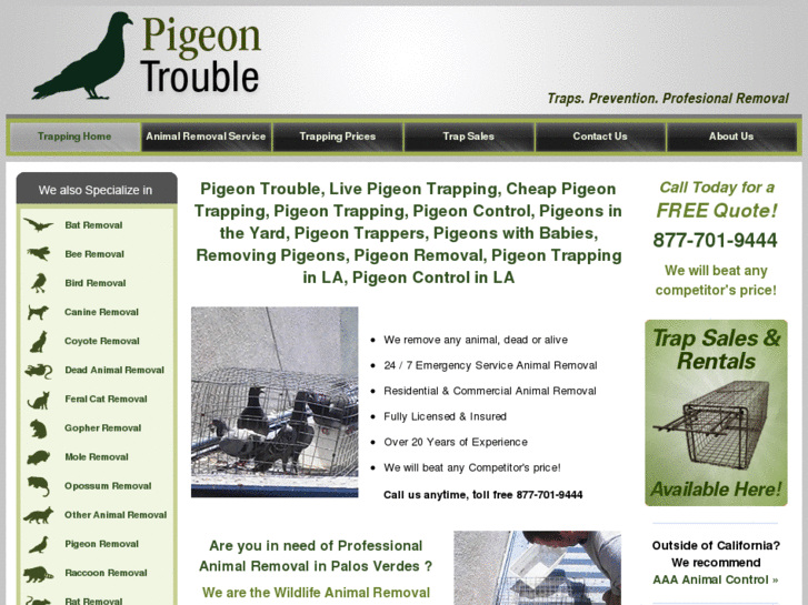 www.pigeontrouble.com