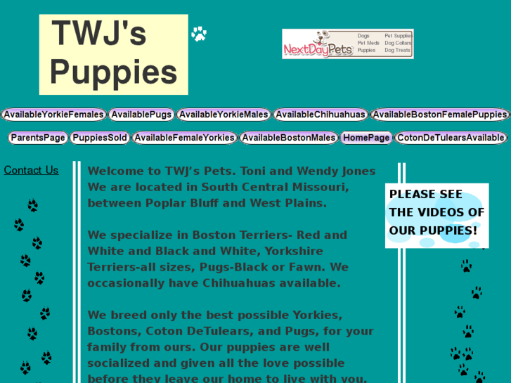 www.puppys4salebytj.com