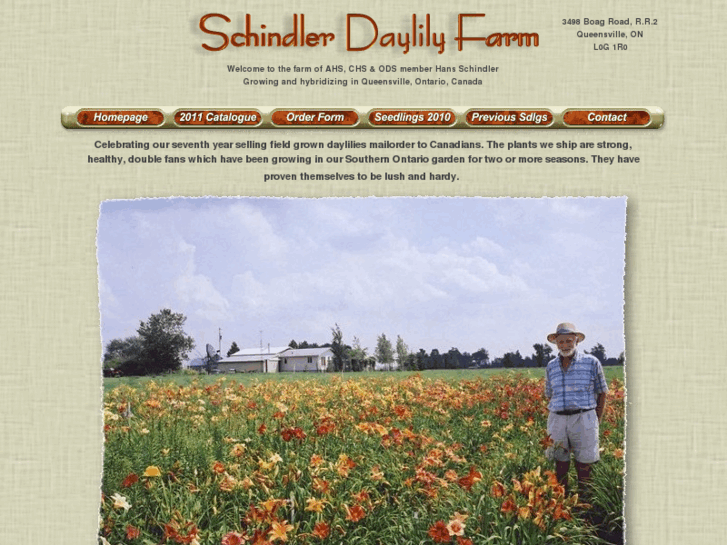 www.schindlersdaylilyfarm.com