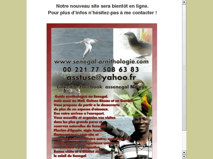 www.senegal-ornithologie.com