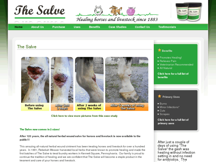 www.thesalve.com