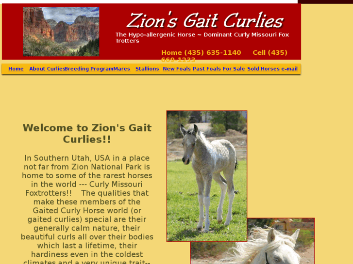 www.zgcurlies.com