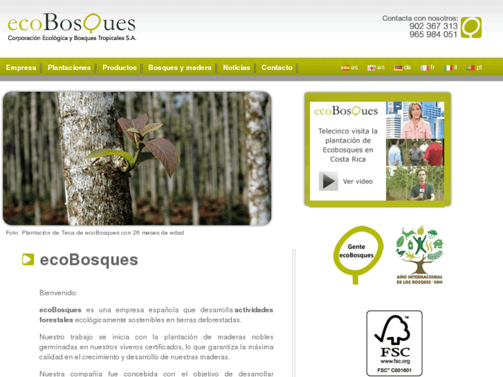 www.eco-forests.com