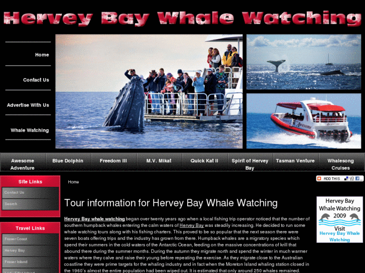 www.hervey-bay-whale-watching.com