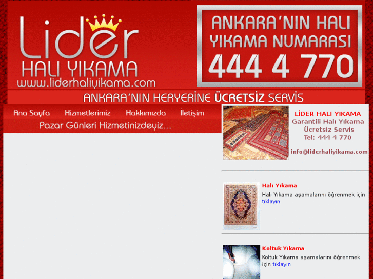 www.liderhaliyikama.com