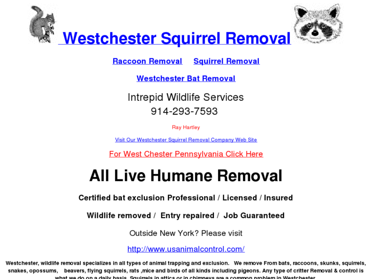 www.westchestersquirrelremoval.org