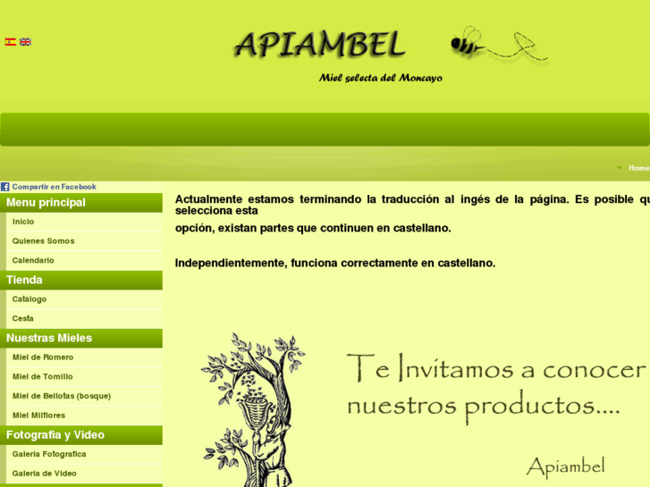 www.apiambel.com